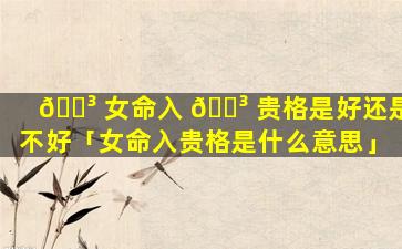 🌳 女命入 🐳 贵格是好还是不好「女命入贵格是什么意思」